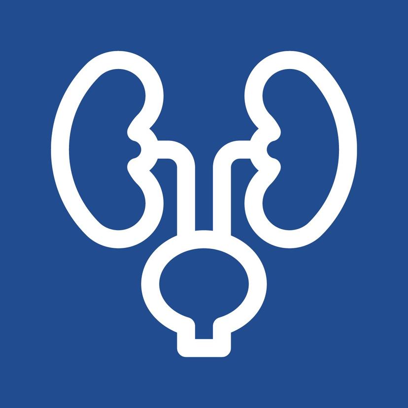 Service Department of Nephrology Image