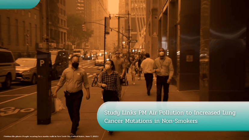 Logo for News - Study Links PM Air Pollution to Increased Lung Cancer Mutations in Non-Smokers
