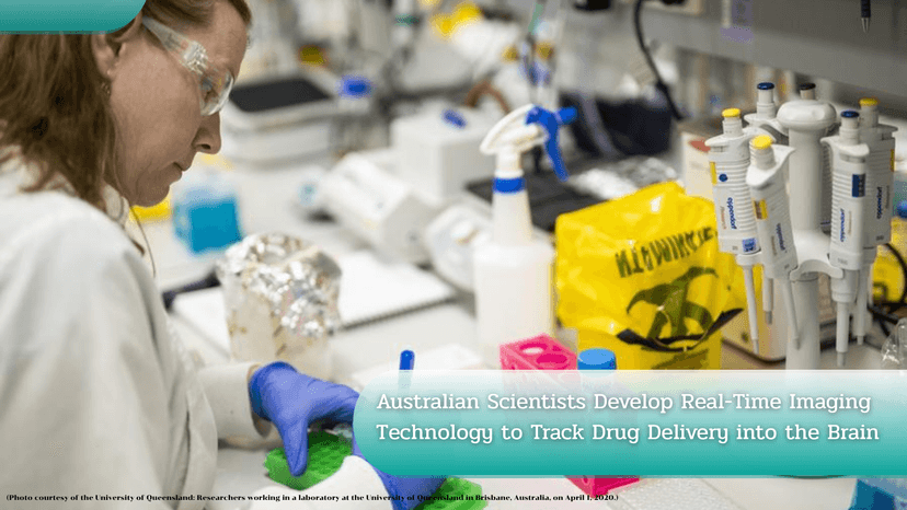 Logo for News - Australian Scientists Develop Real-Time Imaging Technology to Track Drug Delivery into the Brain
