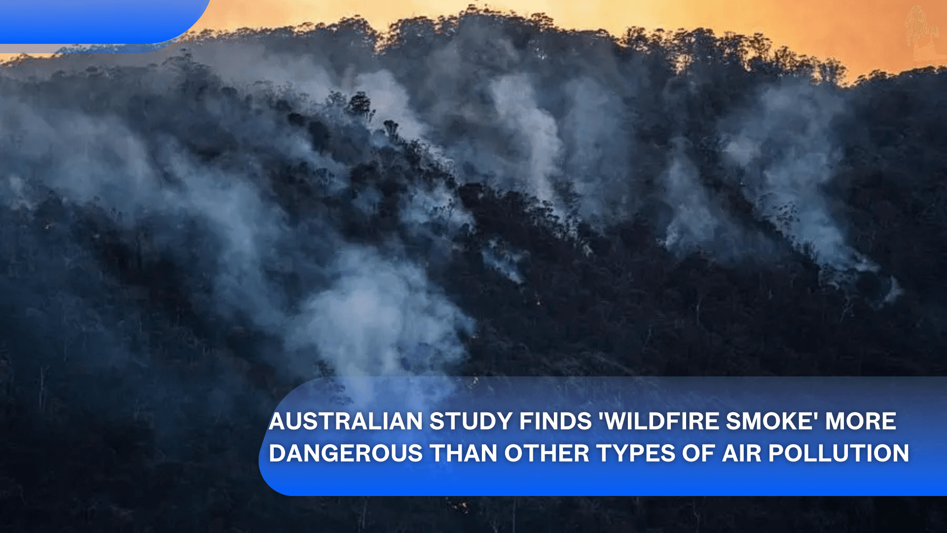 Australian Study Finds 'Wildfire Smoke' More Dangerous Than Other Types of Air Pollution's featured image