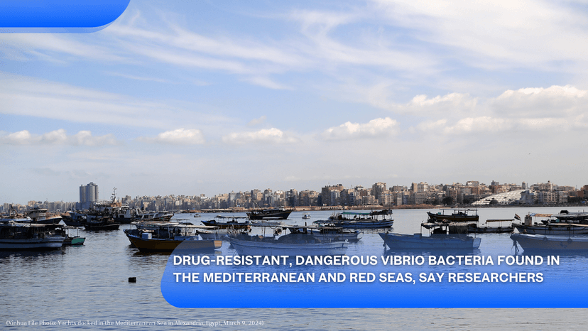 Logo for News - Drug-Resistant, Dangerous Vibrio Bacteria Found in the Mediterranean and Red Seas, Say Researchers