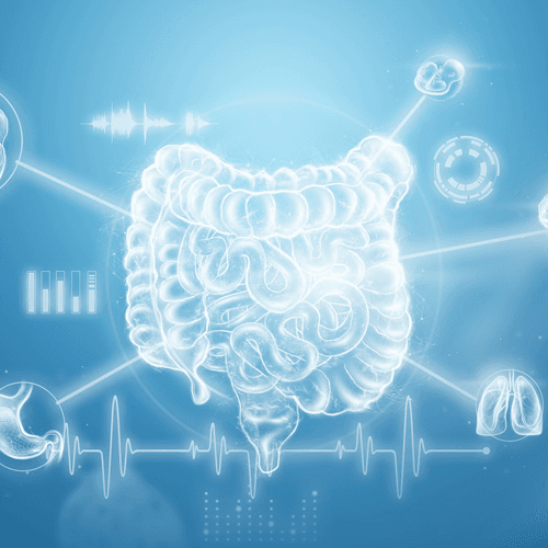 Service Experience the Benefits of Detoxification Image