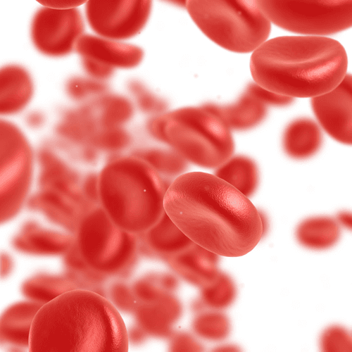 Service Experience the Benefits of Chelation Therapy Image