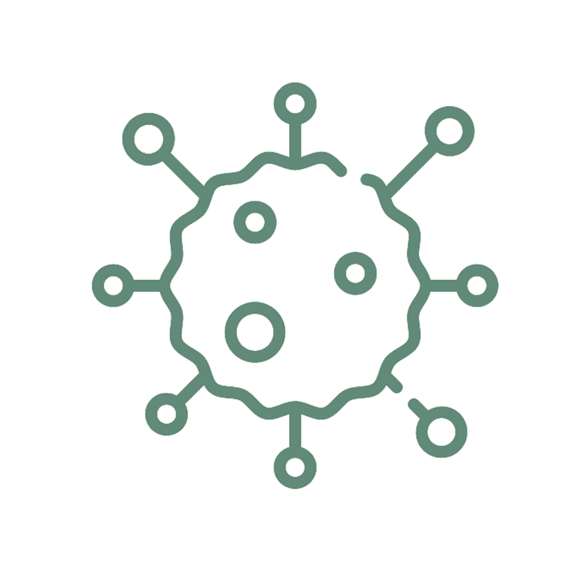 Service Allergy Check Program Image