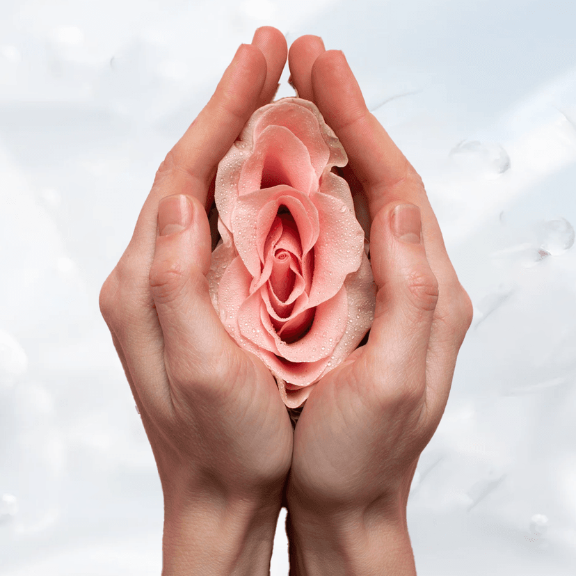 Service Experience Renewed Confidence with the Verginal Reju Vaginal Tightening Program Image
