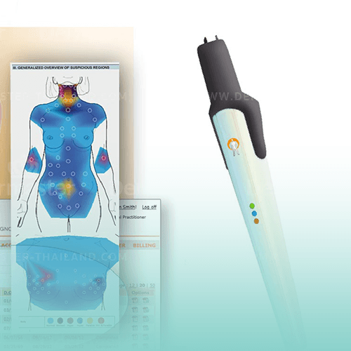 Service Comprehensive Health Check with Alfa Thermo Scan Image