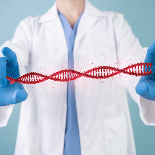Service Telomere Length Assessment Image