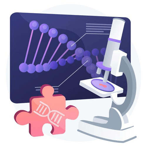 Service Discover Your Genetic Heritage and Health Risks with a Genetic Check-Up Image