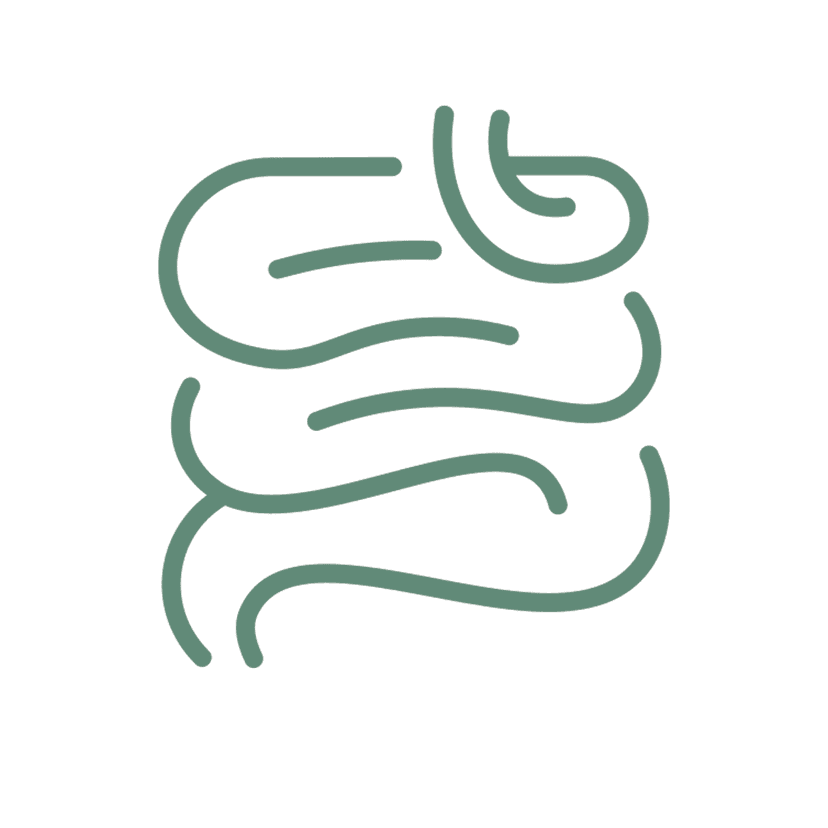 Service Colon Hydrotherapy with a Closed System Image