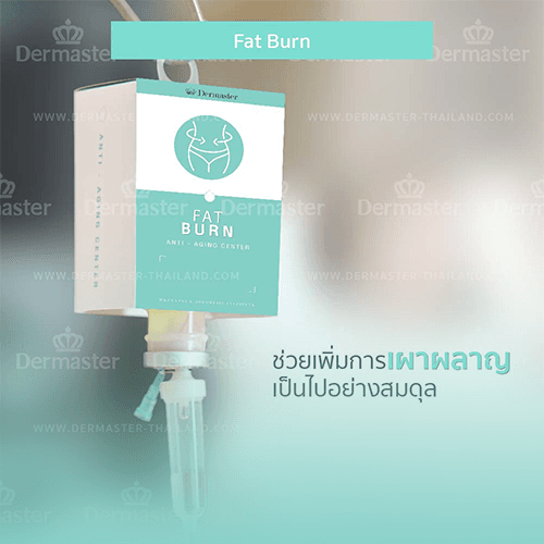 Service Unlock Your Body's Fat-Burning Potential with Fat Burn Image