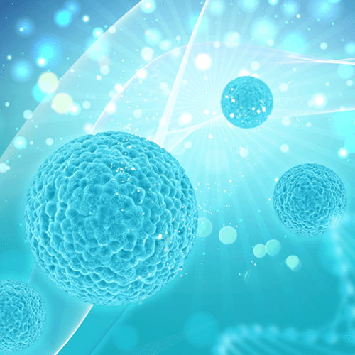 Service Unlocking the Power of NK Cell Therapy Image