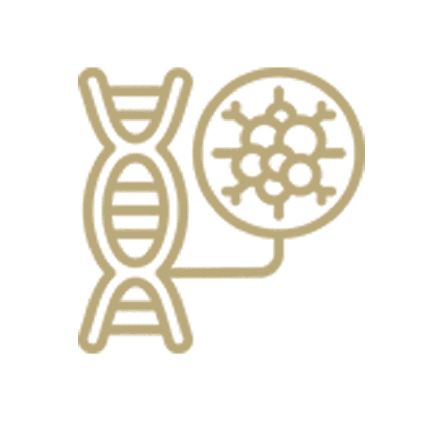 Service Bioidentical Hormone Replacement Therapy (BHRT) Image