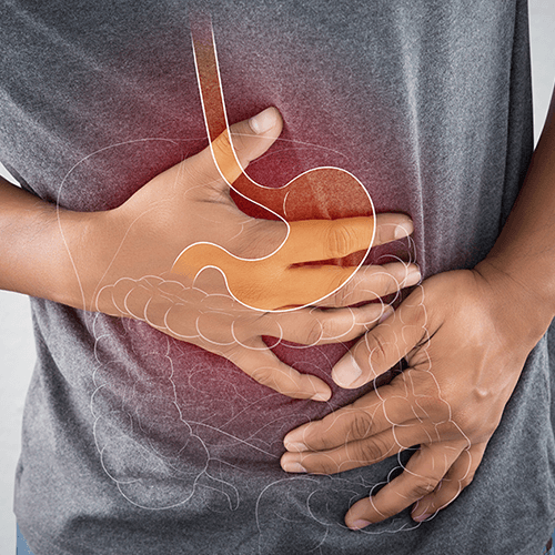 Service Gastrointestinal and Liver Center Image