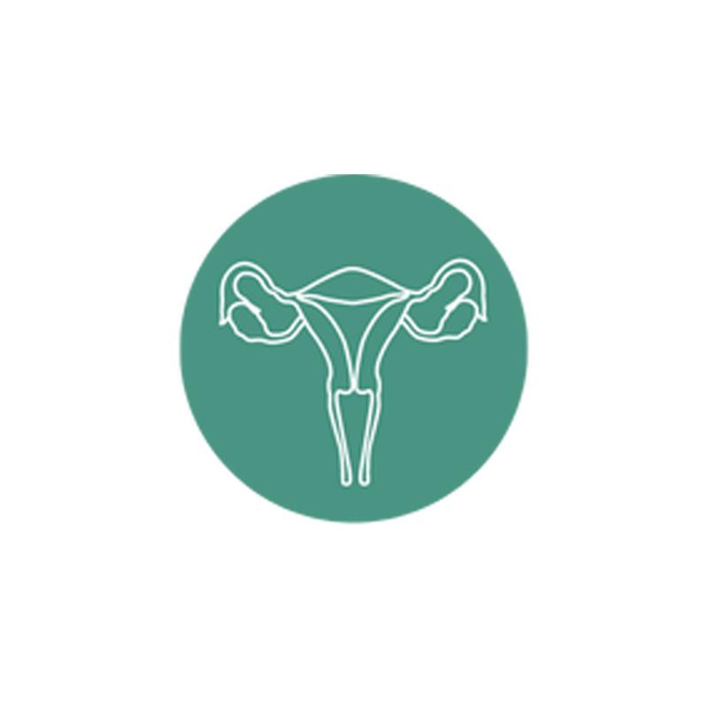 Service Obstetrics and Gynecology Clinic Image
