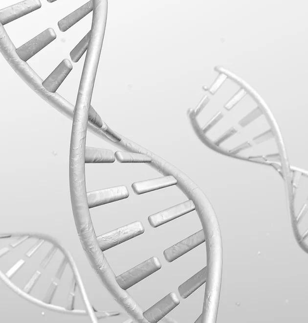 Service CANCER & CARDIO GENETIC TEST Image
