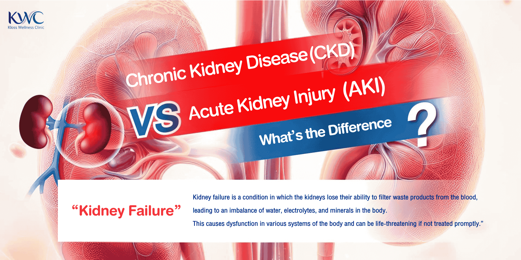 Blog: Chronic Kidney Disease (CKD) vs. Acute Kidney Injury (AKI): What’s the Difference?