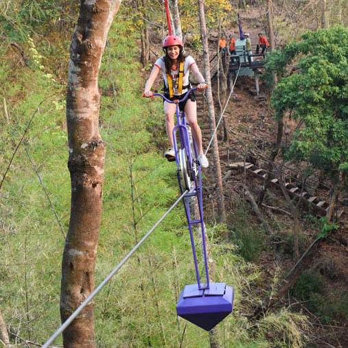 Service Rope Bridge & SkyCycling Image