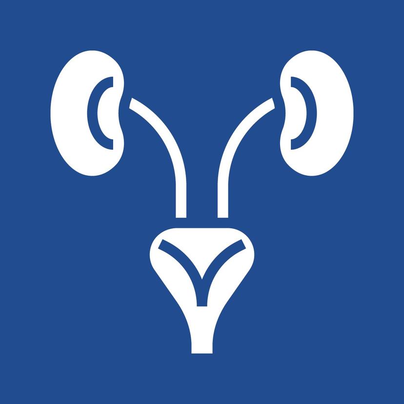 Service Department of Urology Center Image