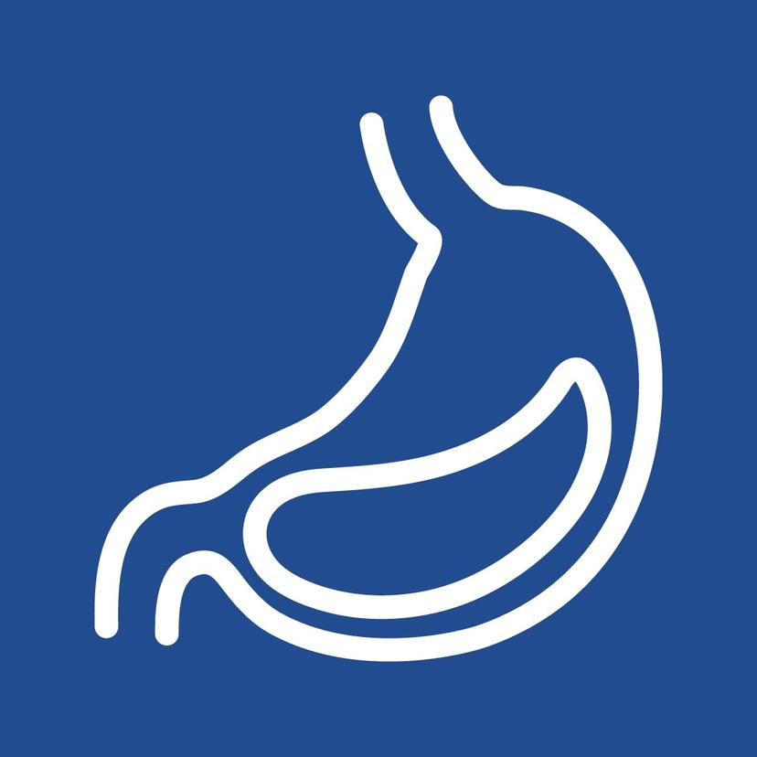 Service Gastrointestinal Center Image