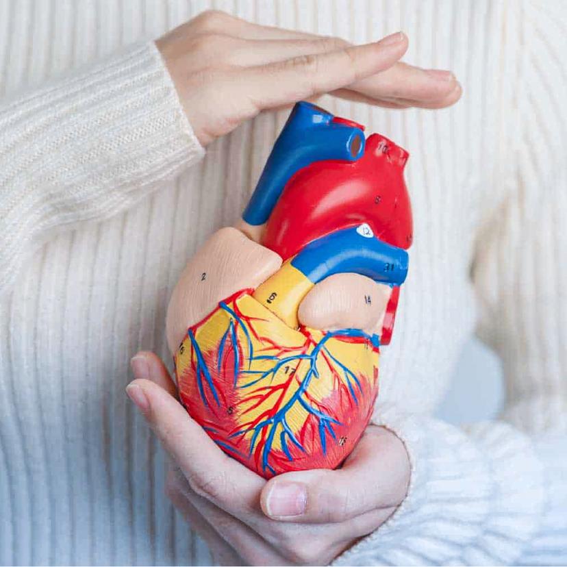 Service Heart and blood vessel disease screening package Image