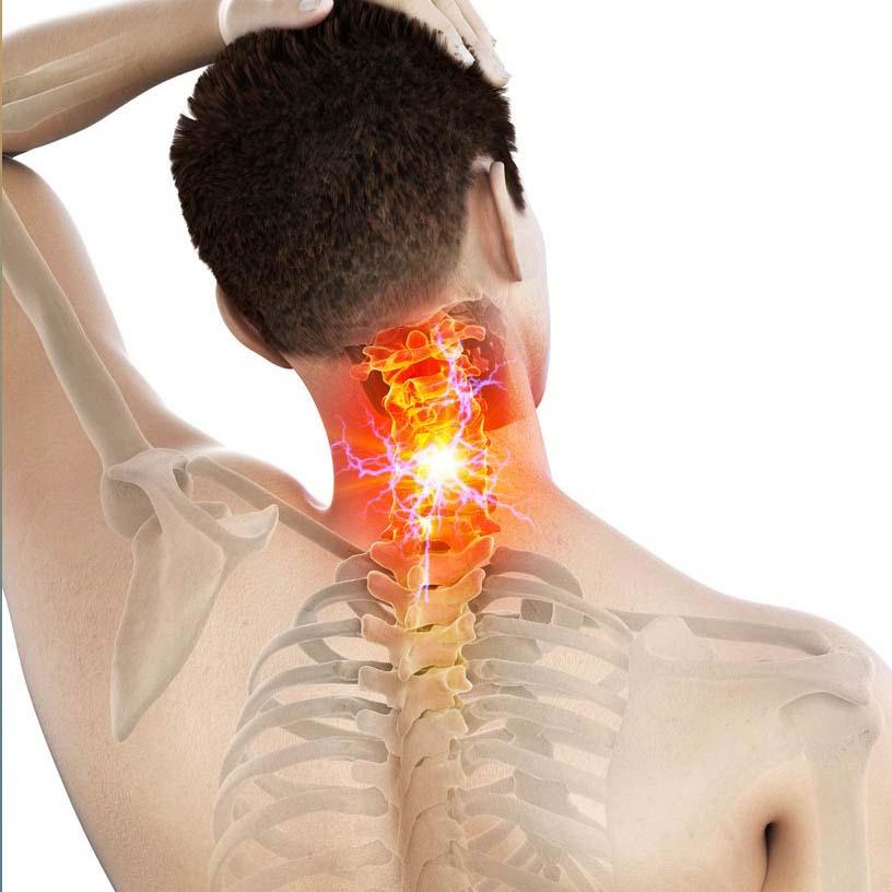 Service Experience Renewed Wellness with the Inflammation Program Image