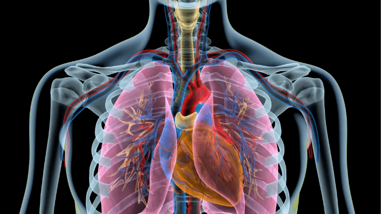 Blog: EECP (Enhanced External Counter Pulsation)