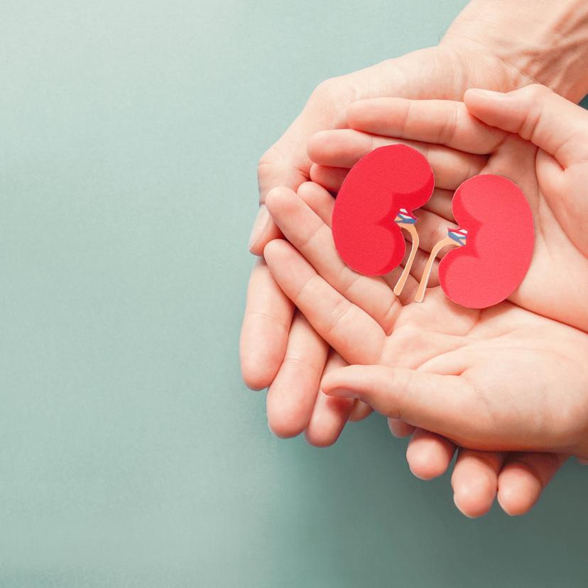 Service Kidney Disease Specialist Clinic Image