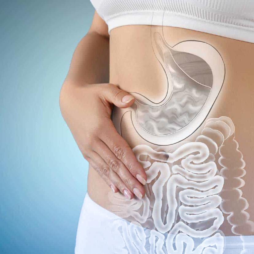 Service Microbiome – Gut Health & Immunity Image