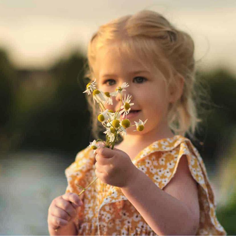 Service Pediatric 27 allergens (IgE) Image