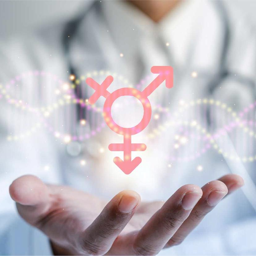 Service Sex Hormones Program Image