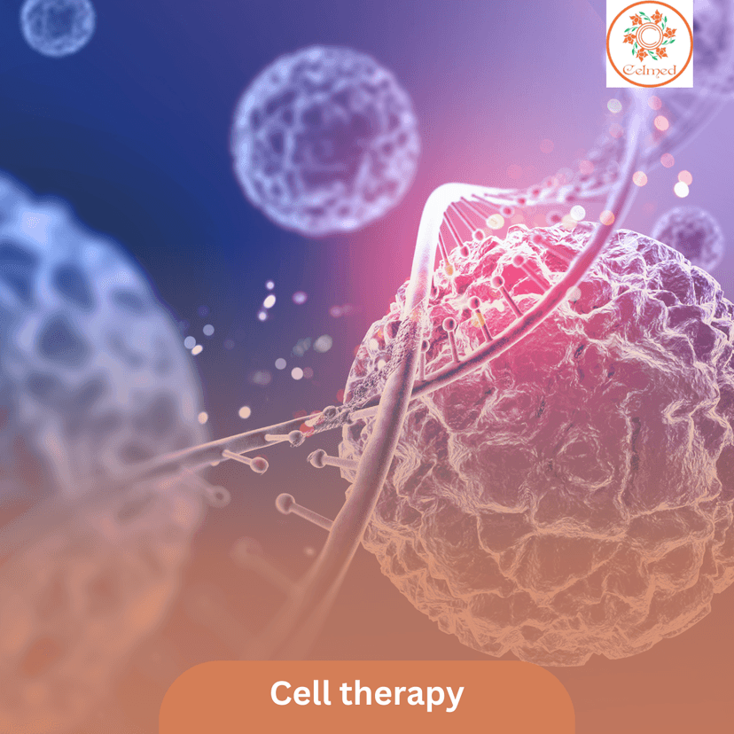 Service Cell therapy Image