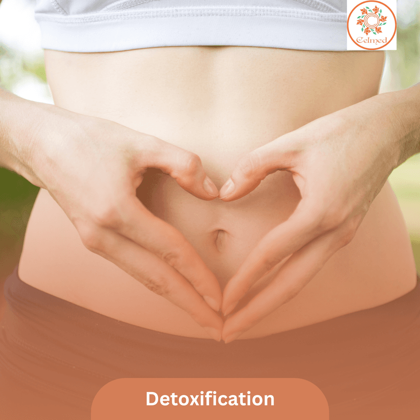 Service Detoxification Image