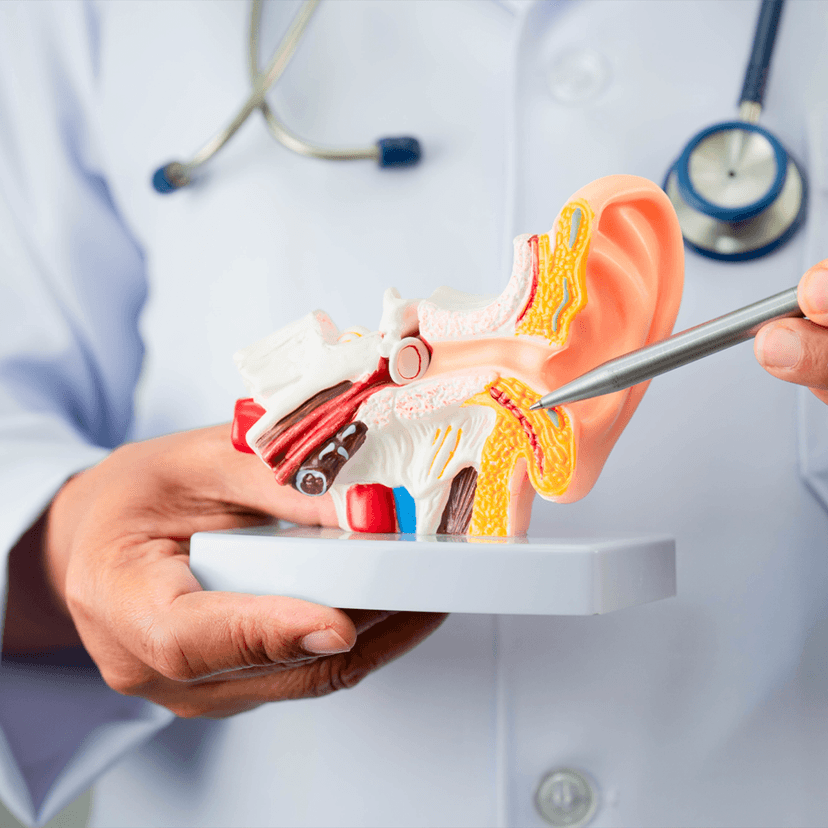 Service Ear, Nose and Throat Center Image