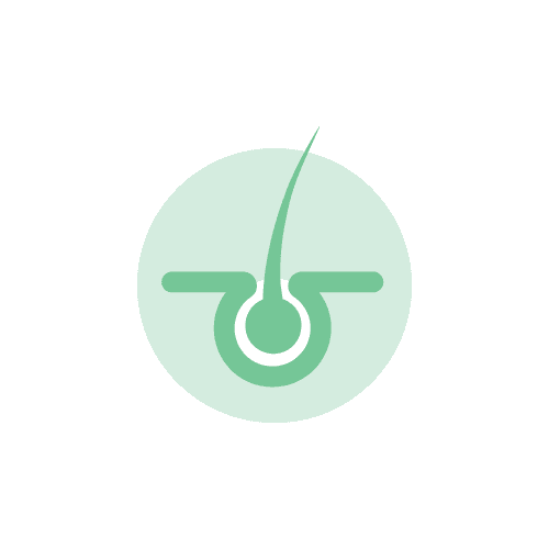 Service Hair Center Image
