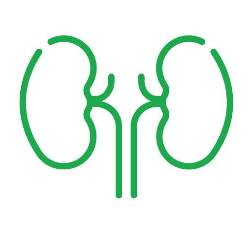 Service HEMODIALYSIS CENTER Image