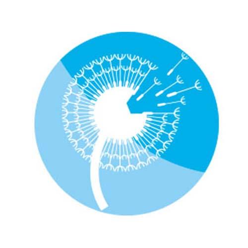 Service Allergy Clinic Image