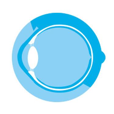 Service Eye Center Image