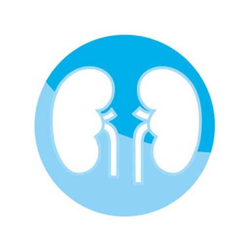 Service Hemodialysis Center Image