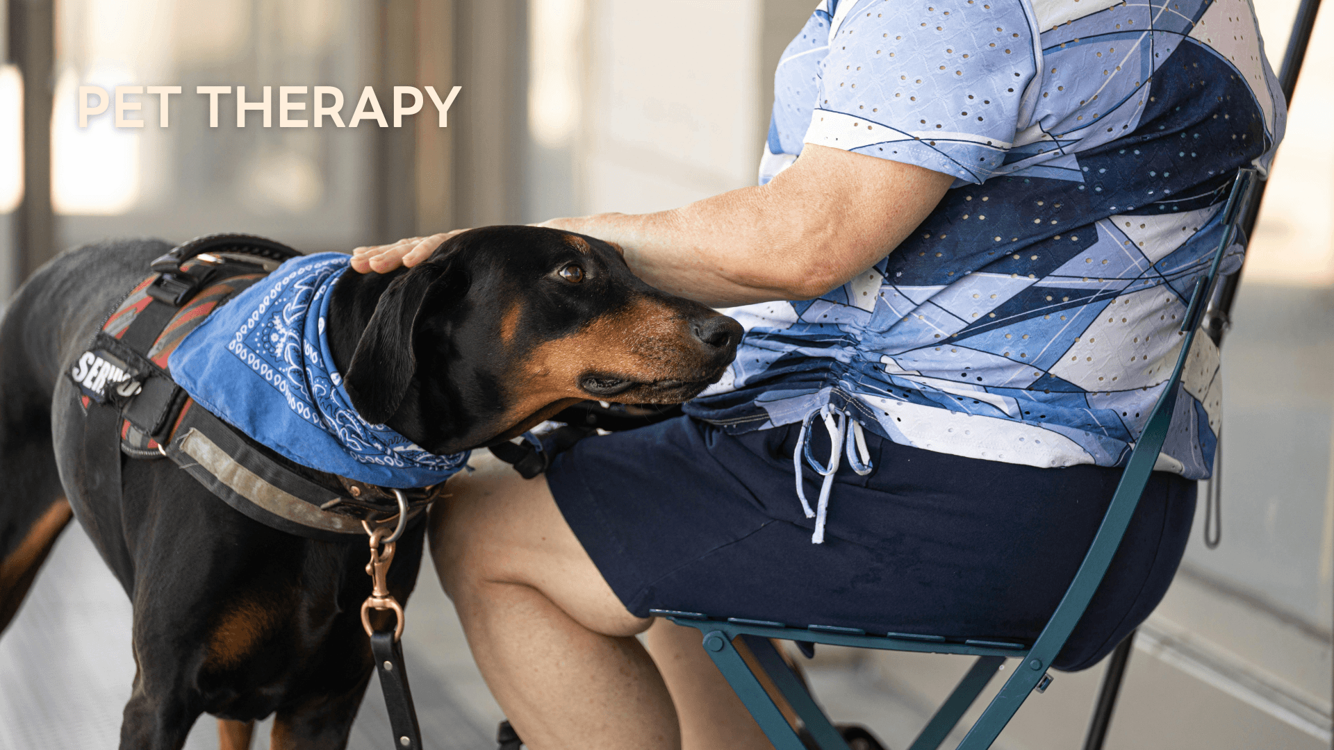 Blog: Healing Paws: How Pets Improve Our Health