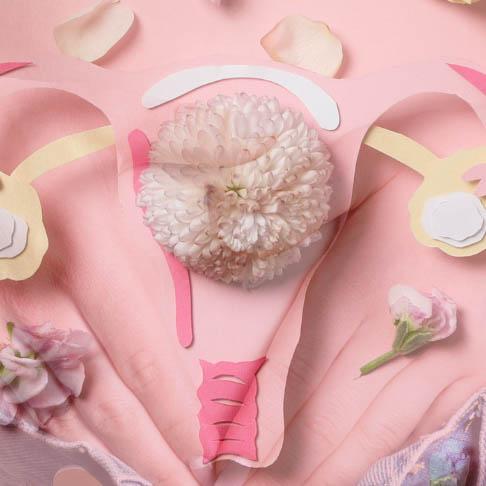 Service Women's Health Center Image