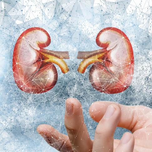 Service Dialysis Center: Your Trusted Partner in Kidney Care Image