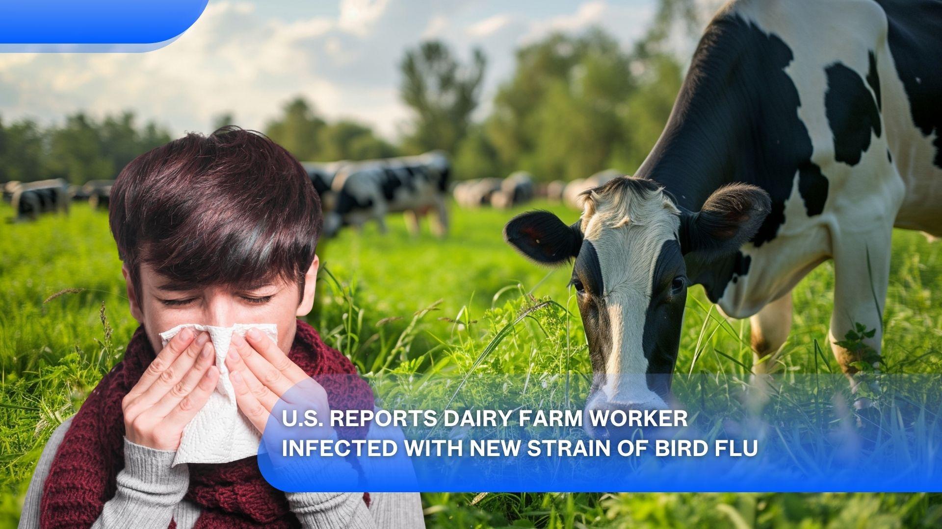 U.S. Reports Dairy Farm Worker Infected with New Strain of Bird Flu's featured image